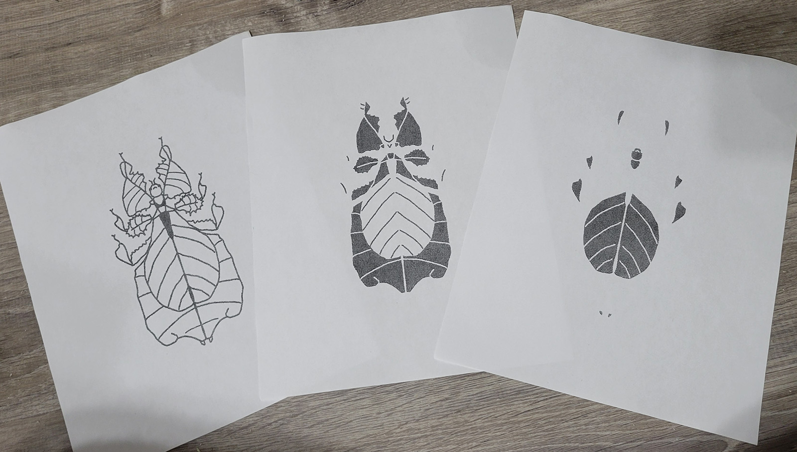 Three black ink stencil prints of a stylized leaf insect on white paper, arranged side by side on a wooden surface.