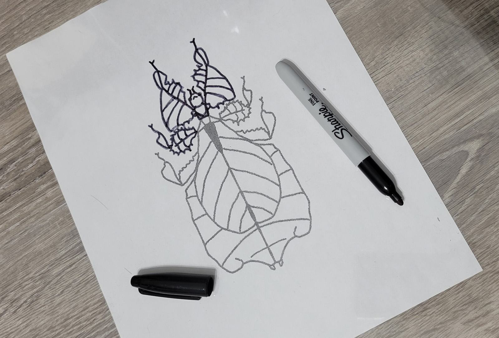 A partially inked line drawing of a stylized leaf insect on white paper, with a black Sharpie marker and cap resting nearby on a wood surface