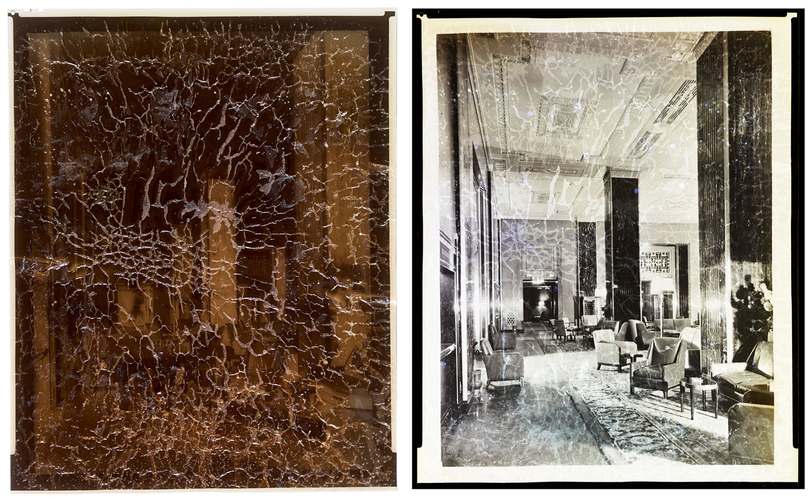 Photographic negative and positive